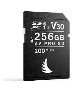 Scheda di Memoria SD 256 Gb SDXC UHS-I AV PRO SD V30 AVP256SDV30