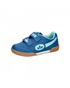 LICO Bernie V
