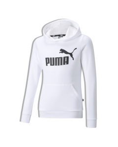 PUMA ESSENTIALS LOGO HOODIE