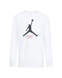 JORDAN BASELINE FLIGHT LS TEE