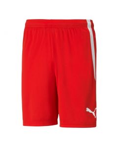 PUMA TEAMLIGA SHORT