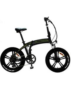 Bicicletta Elettrica e-bike 25 km/h 20&quot Verde - MD-E20FF3-G Tokyo