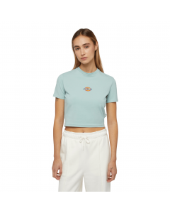 DICKIES MAPLE VALLEY TEE