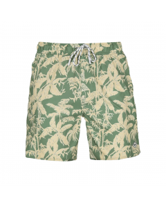 BARTS BALTRA SHORTS