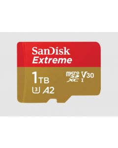 Extreme 1024 GB MicroSDXC UHS-I Classe 3 SDSQXAV-1T00-GN6MA