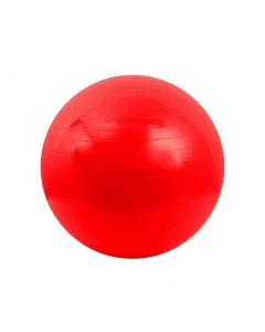 FIT EVOLUTION Pallone Psicomotorio 55 cm