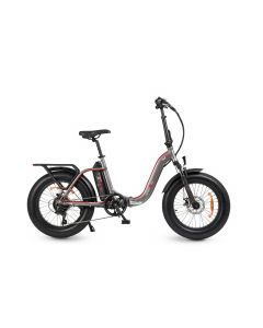 Bici Elettrica Pieghevole 25 km/h 50 km Ruote 20&quot Grigio/Rosso M4TR3ALT