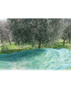 Telo Rete raccolta Olve Antispina con Occhielli mt. 10x10