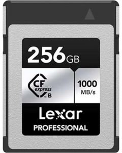 Scheda di Memoria 256 GB Tipo B 1000 MB/s - LCXEXSL256G RNENG