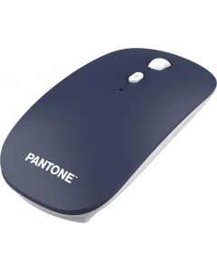 Mouse Ottico RF Wireless con 2 Tasti colore Blu - PT-KB09MN