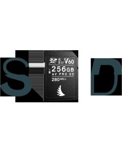 Scheda di Memoria 256 GB SDXC UHS-II Classe 10 U3 - AVP256SDMK2V60