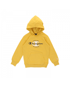 CHAMPION HOODED SWEATSHIRT