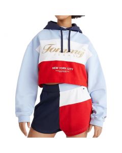 TOMMY JEANS TJW CROP ARCHIVE HOODIE