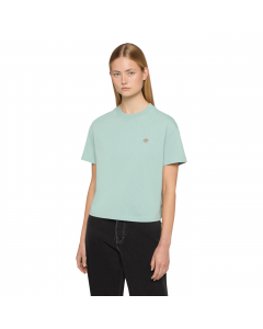 DICKIES OAKPORT BOXY SS TEE