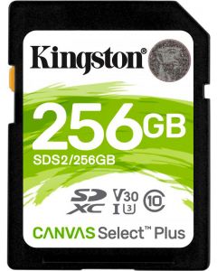 Scheda di Memoria 256 GB SDXC Classe 10 UHS-I SDS2/256GB